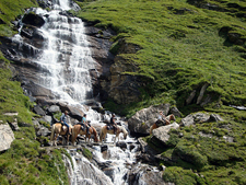 Austria-Kaernten-High Tauern Glacier Ride